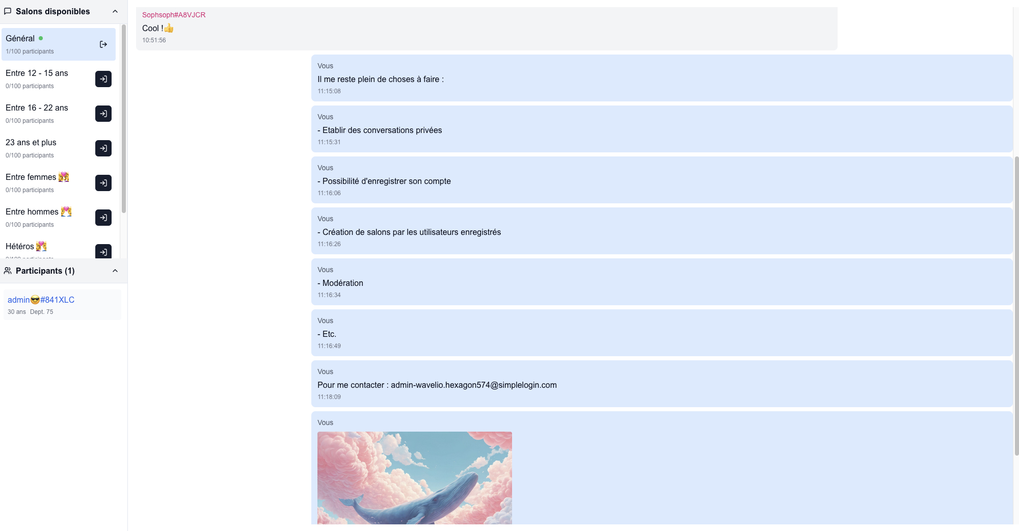 Lancement de la version beta du Chat