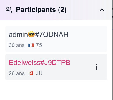 Affichage participants du chat